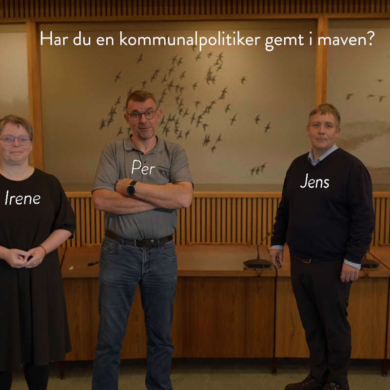 Har du en kommunalpolitiker i maven?