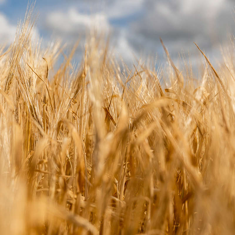 Birgitte Vindings Sjælefred...!