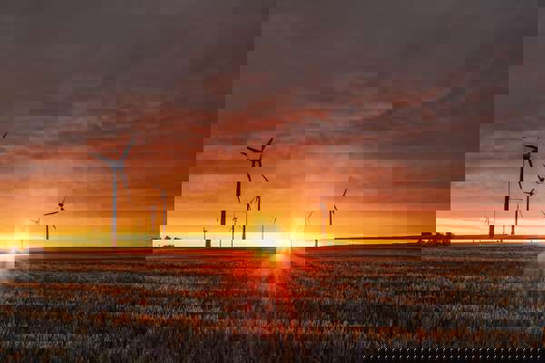 Byrådsmedlemmernes ansvar