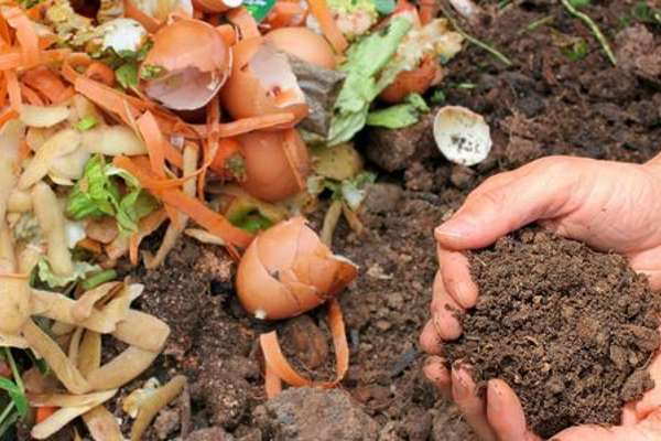 Lad os blive danmarksmestre i affaldssortering