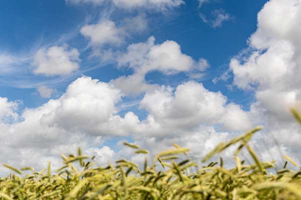 Jens Jensen er ny spidskandidat