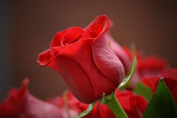 Budgetforlig med stærke socialdemokratiske aftryk